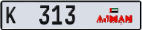 313