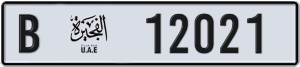 12021