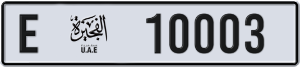 10003