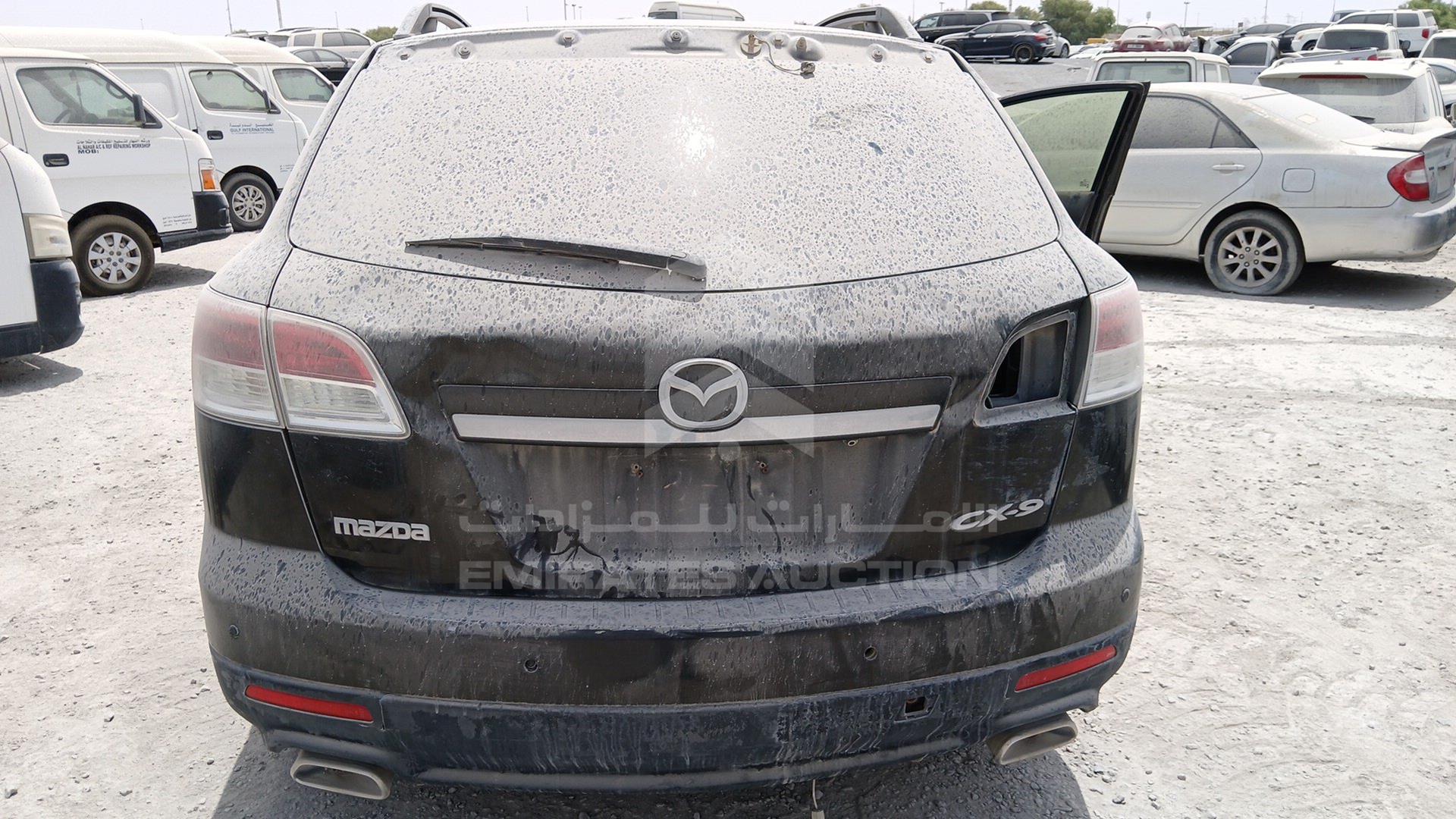 2009 MAZDA CX-9 VIN: JM7TB19A390113694