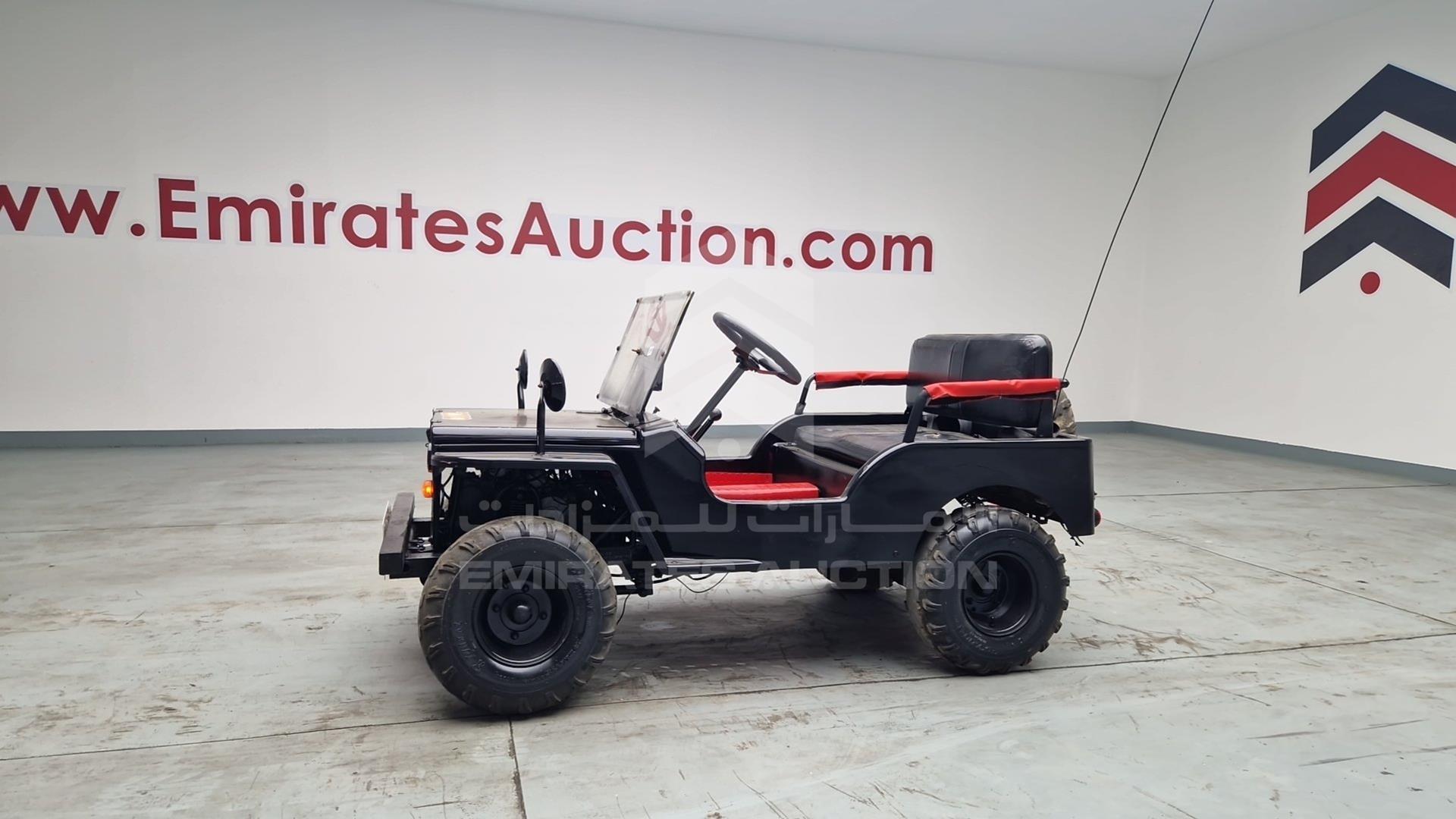 2018 BUGGY --- VIN: RZW9AZKU9N10