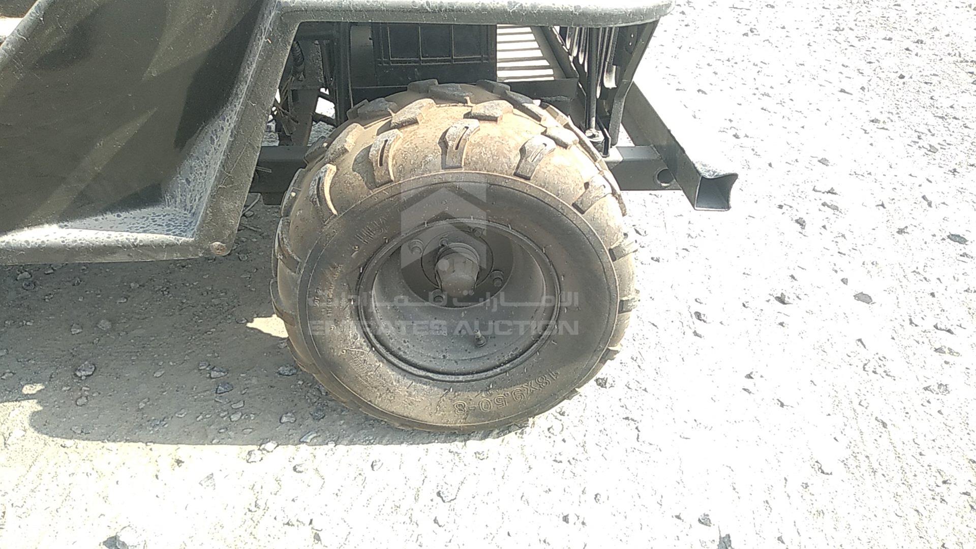 0 BUGGY --- VIN: Z42ABC63450631