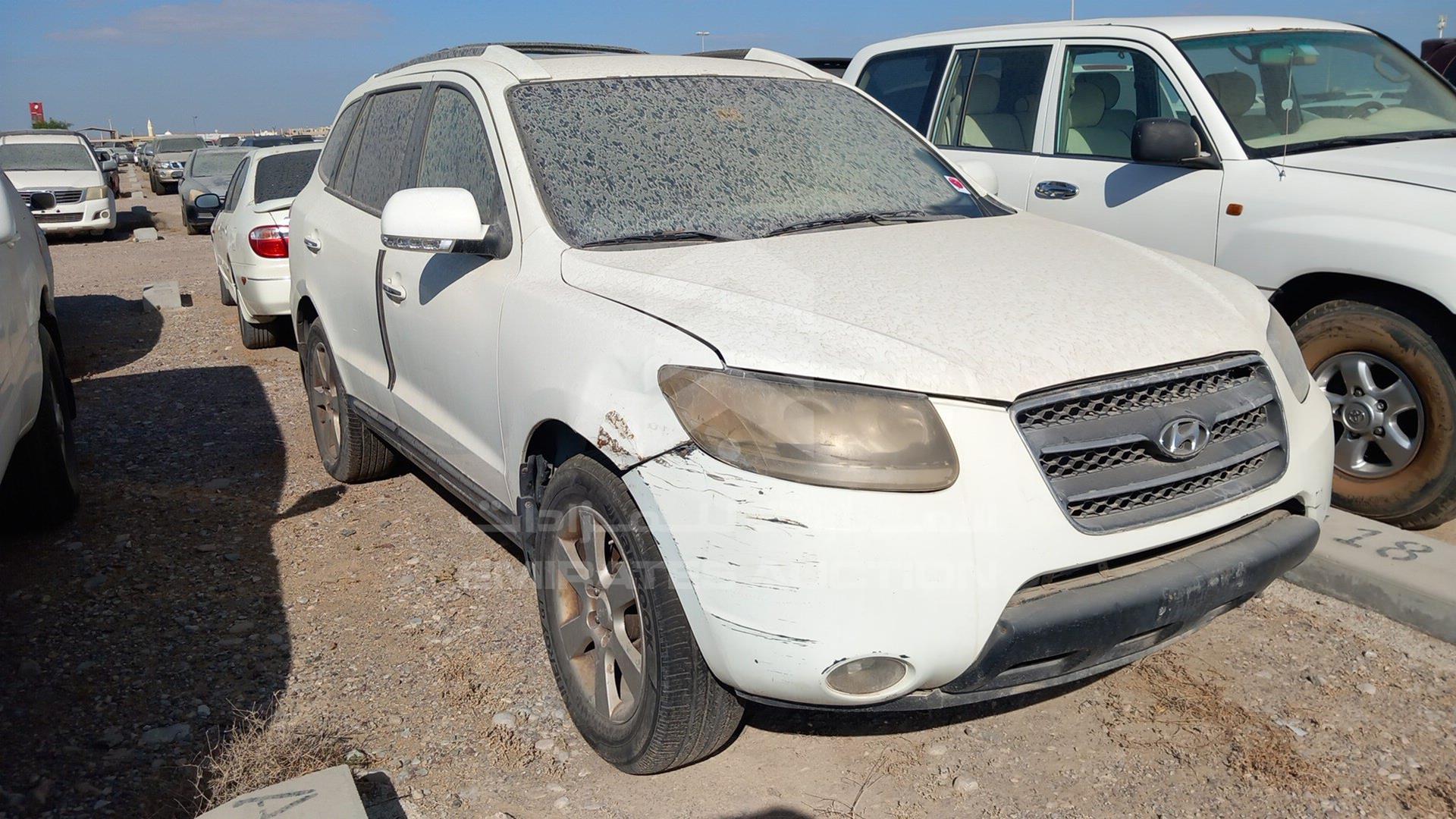 2009 HYUNDAI SANTA FE VIN: KMHSH81D59U407069