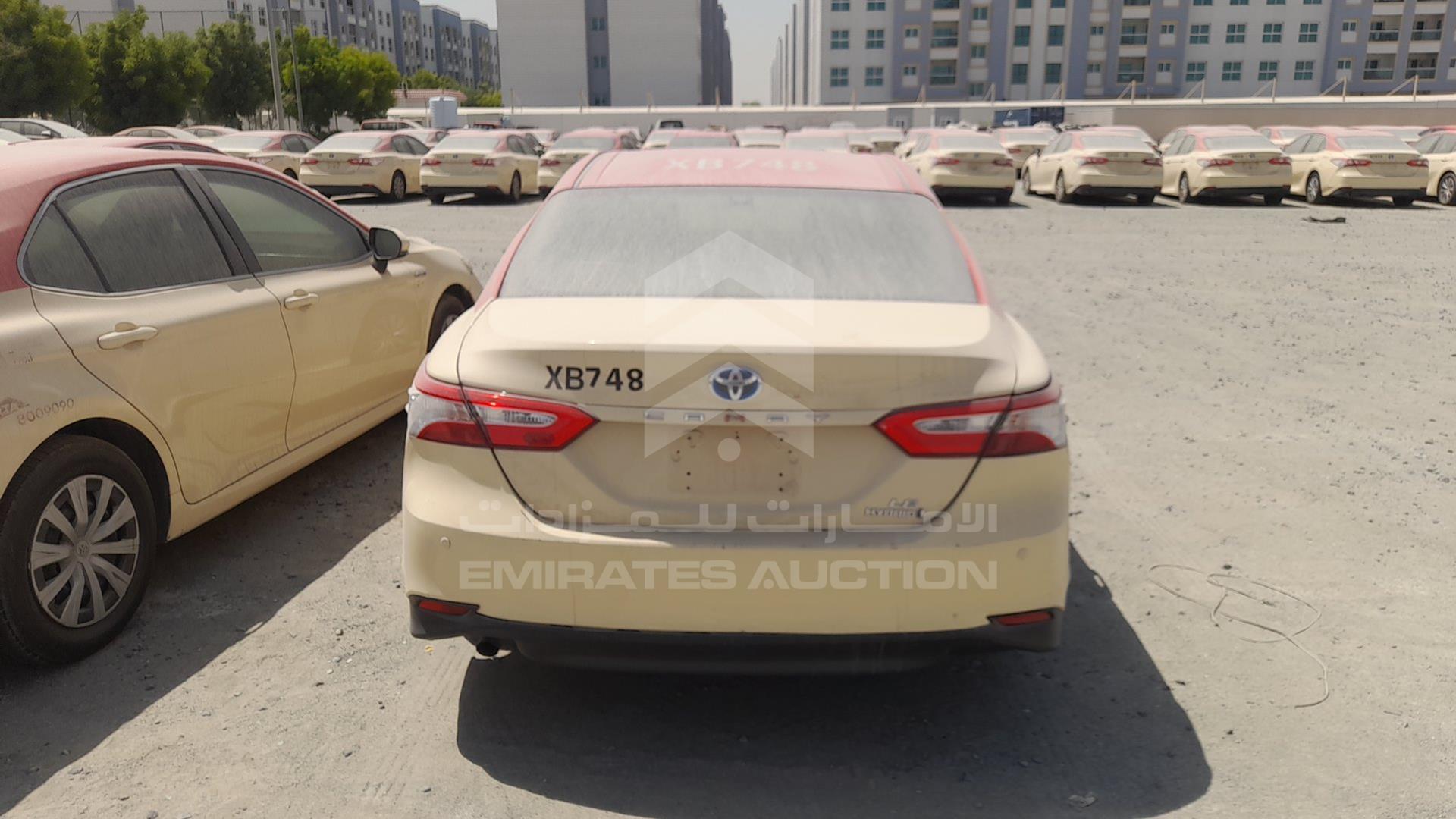 2019 TOYOTA CAMRY VIN: JTNB29HK5K3042173