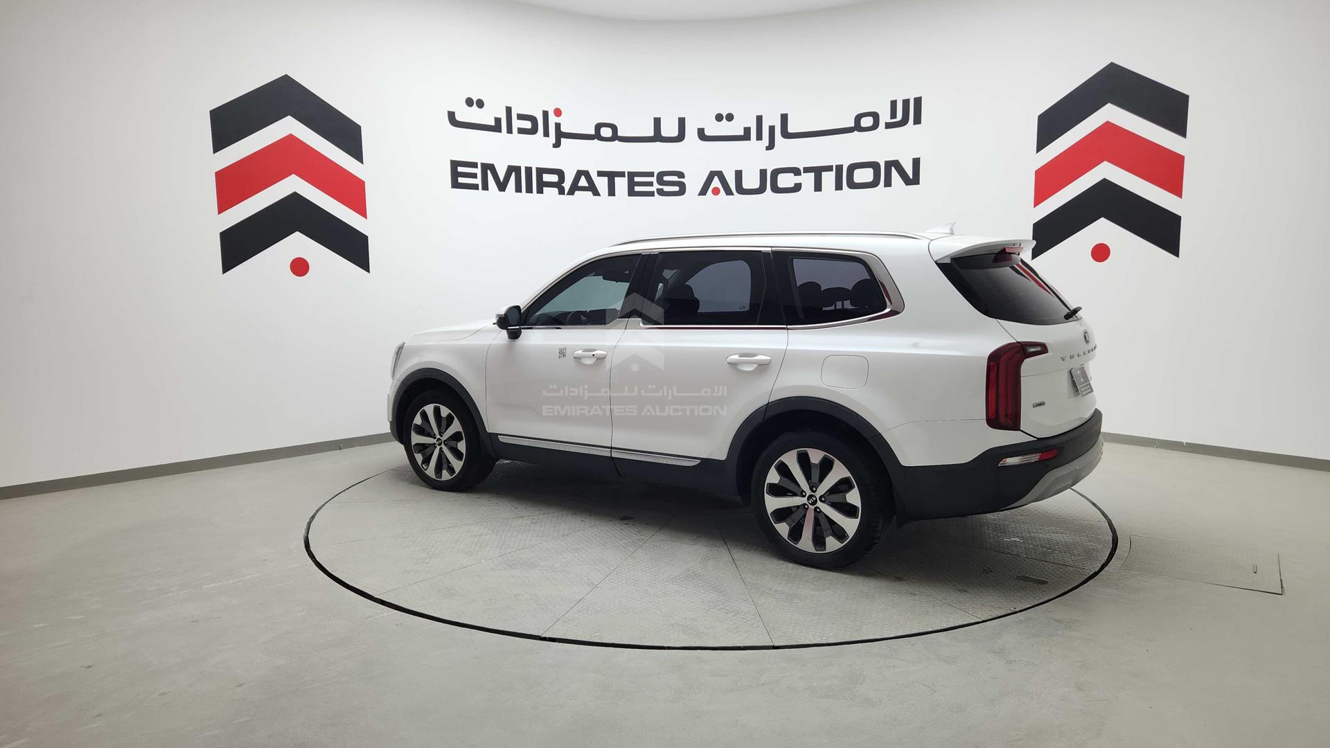 2020 KIA TELLURIDE VIN: 5XXP281CXLG081463