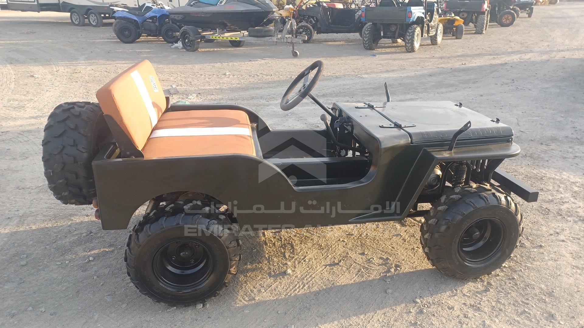 0 BUGGY --- VIN: L37AMKAC6GZ070015