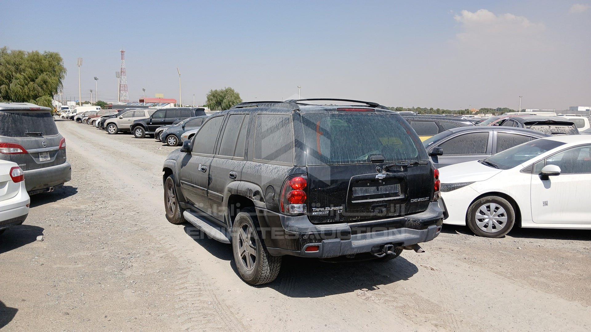 2005 CHEVROLET TRAILBLAZER VIN: 1GNDT13S252211179