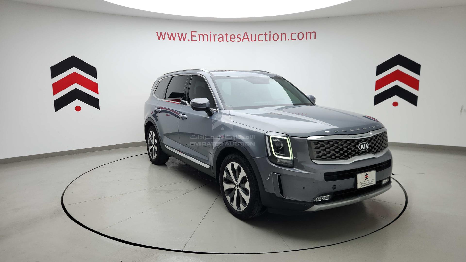 2020 KIA TELLURIDE VIN: 5XXP381C2LG047840