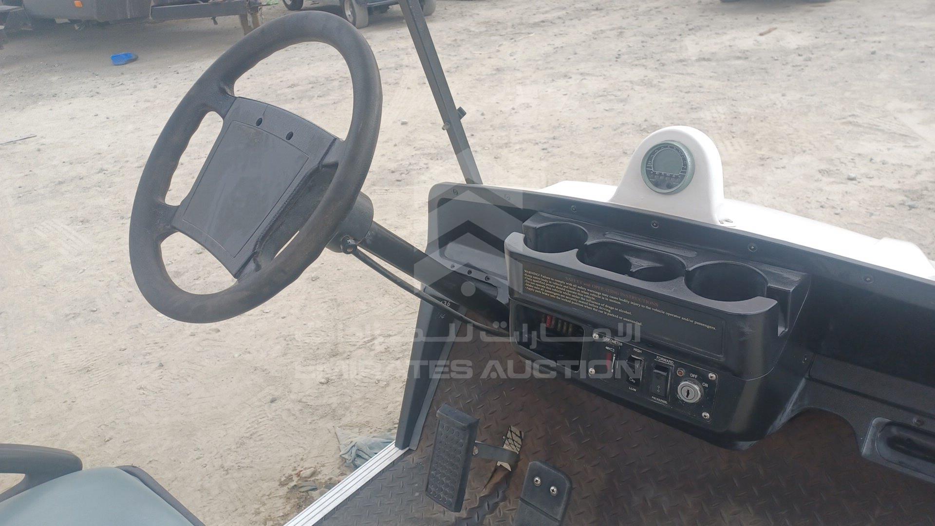 0 GOLF CART ELECTRIC VIN: P017C3802X501732
