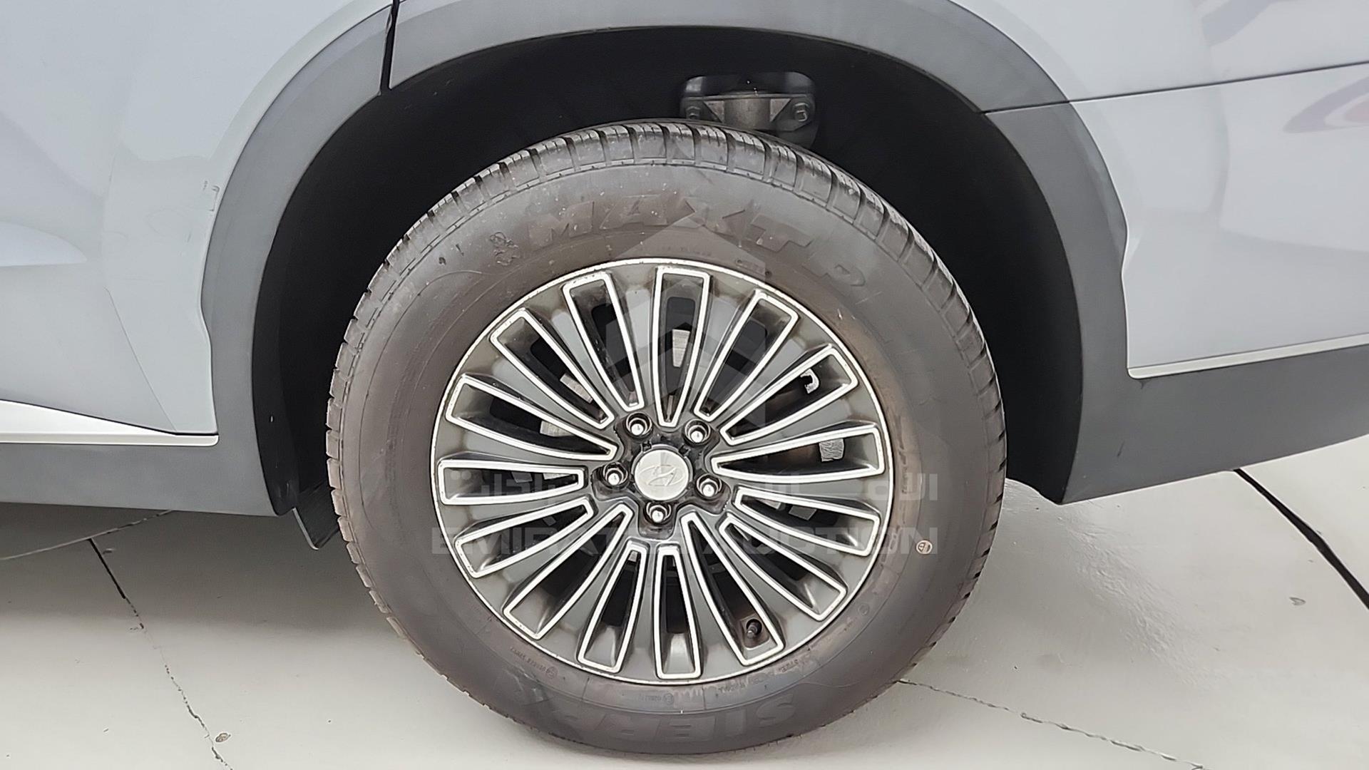 2020 HYUNDAI PALISADE VIN: KM8R1DHE7LU030374
