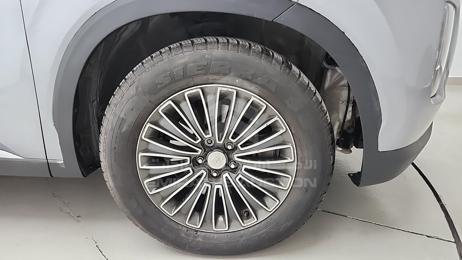 2020 HYUNDAI PALISADE VIN: KM8R1DHE7LU030374