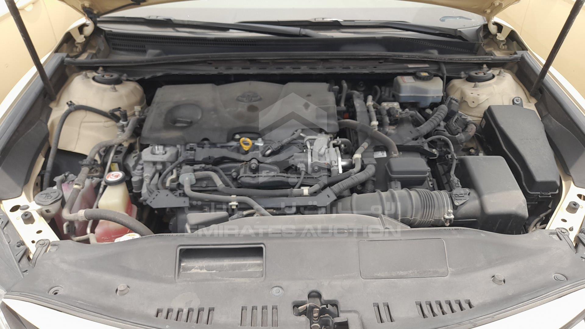 2019 TOYOTA CAMRY VIN: JTNB29HK2K3014492
