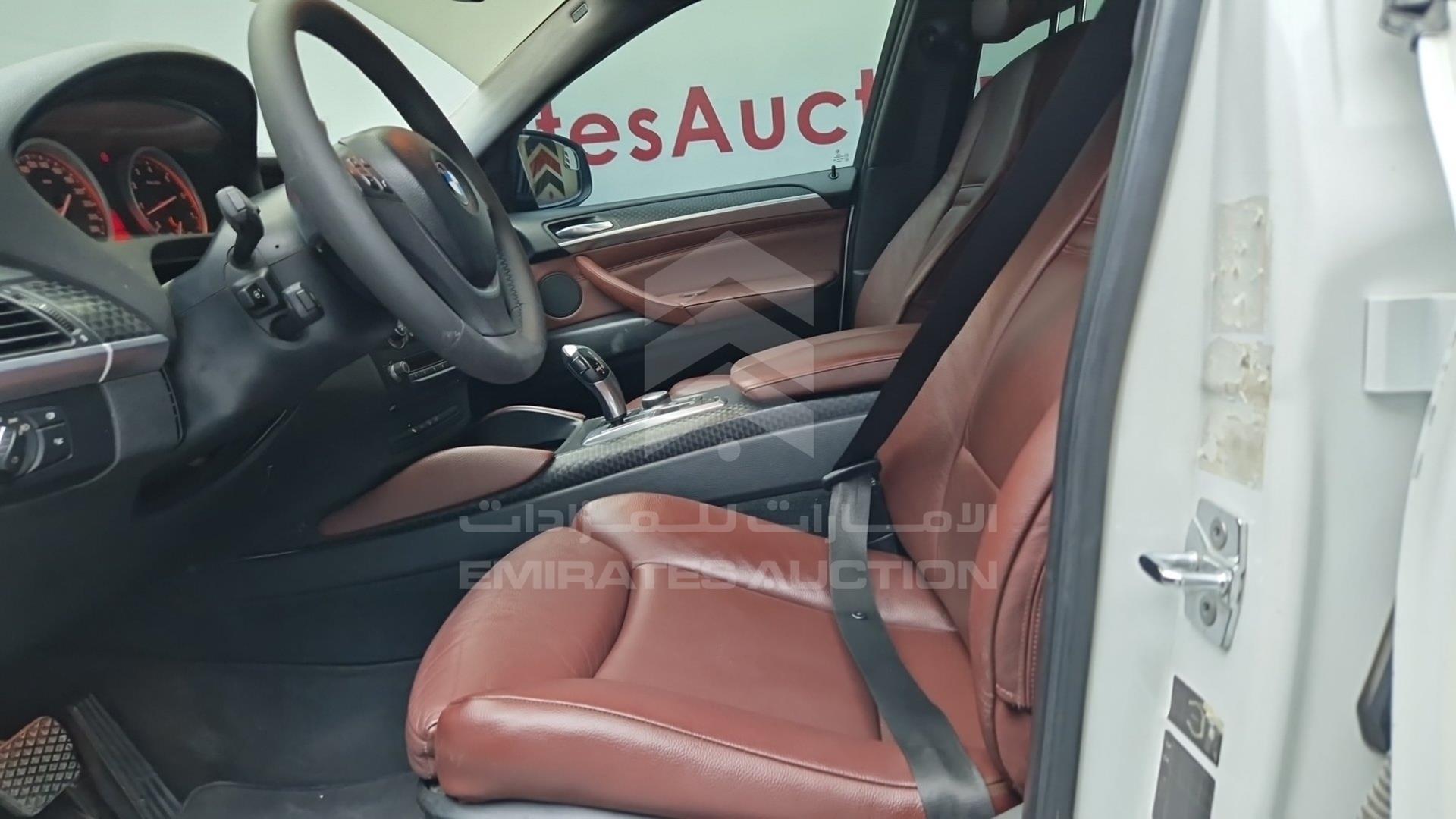 2010 BMW X6 VIN: WBAFG4103AL345256