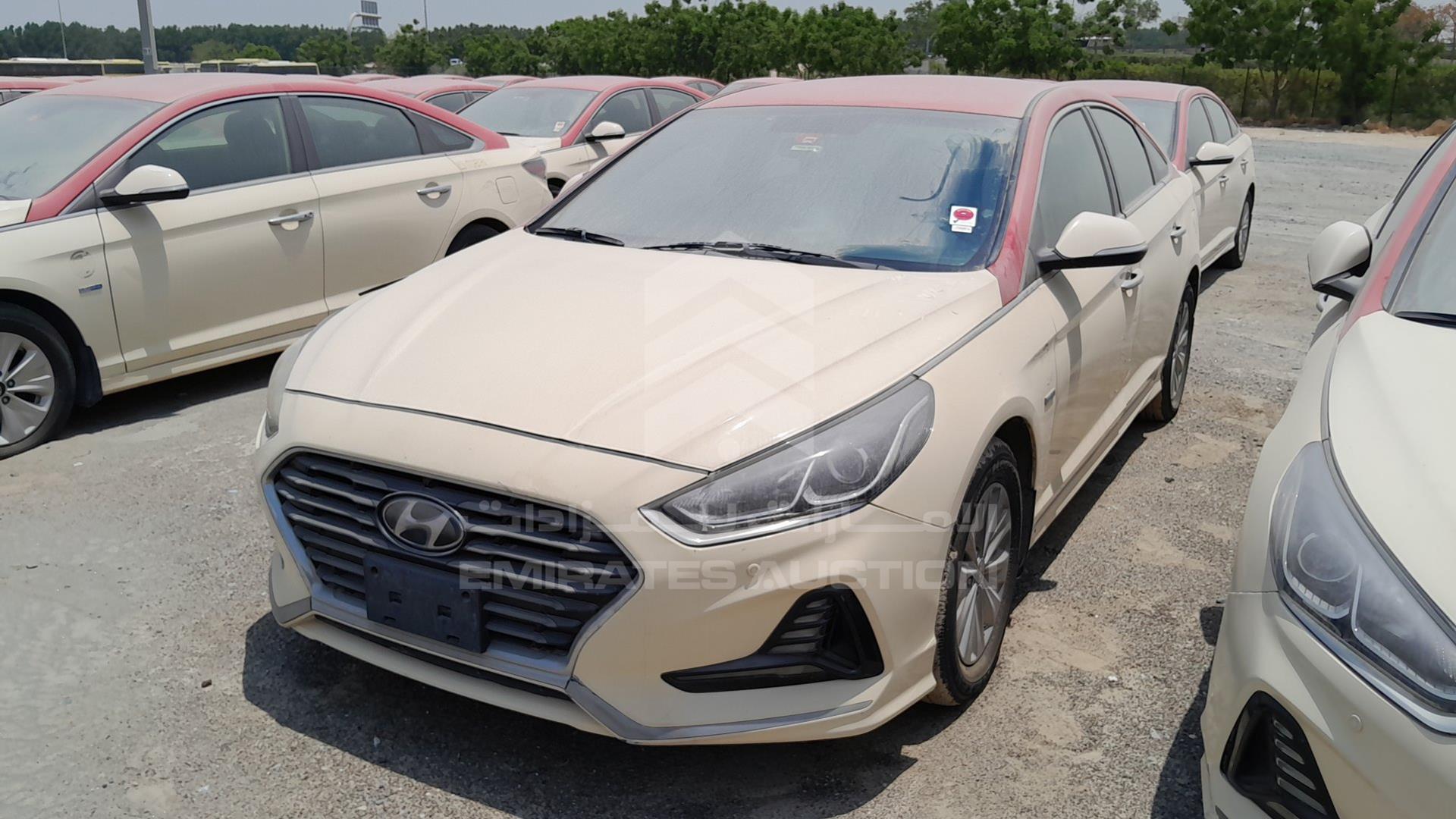 2019 HYUNDAI SONATA VIN: KMHE24133KA092956