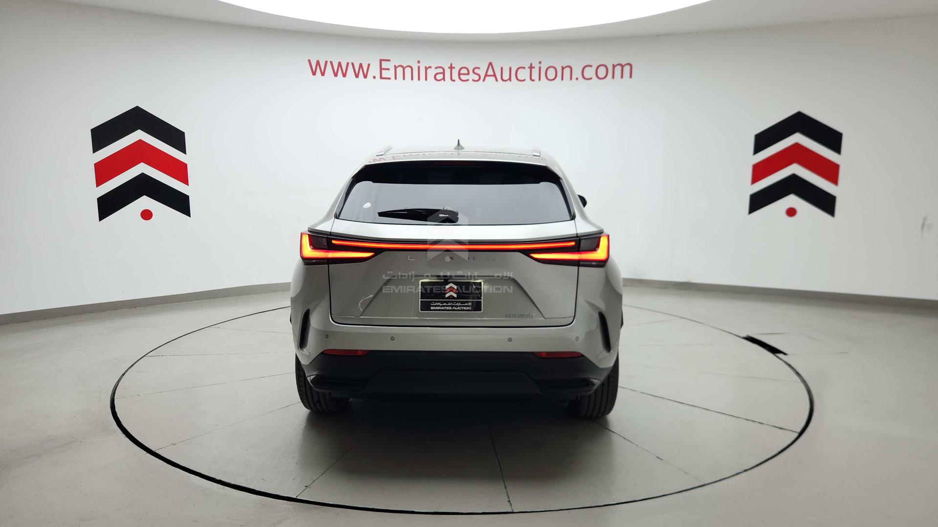 2023 LEXUS NX200T VIN: JTJCFBAZ602011042