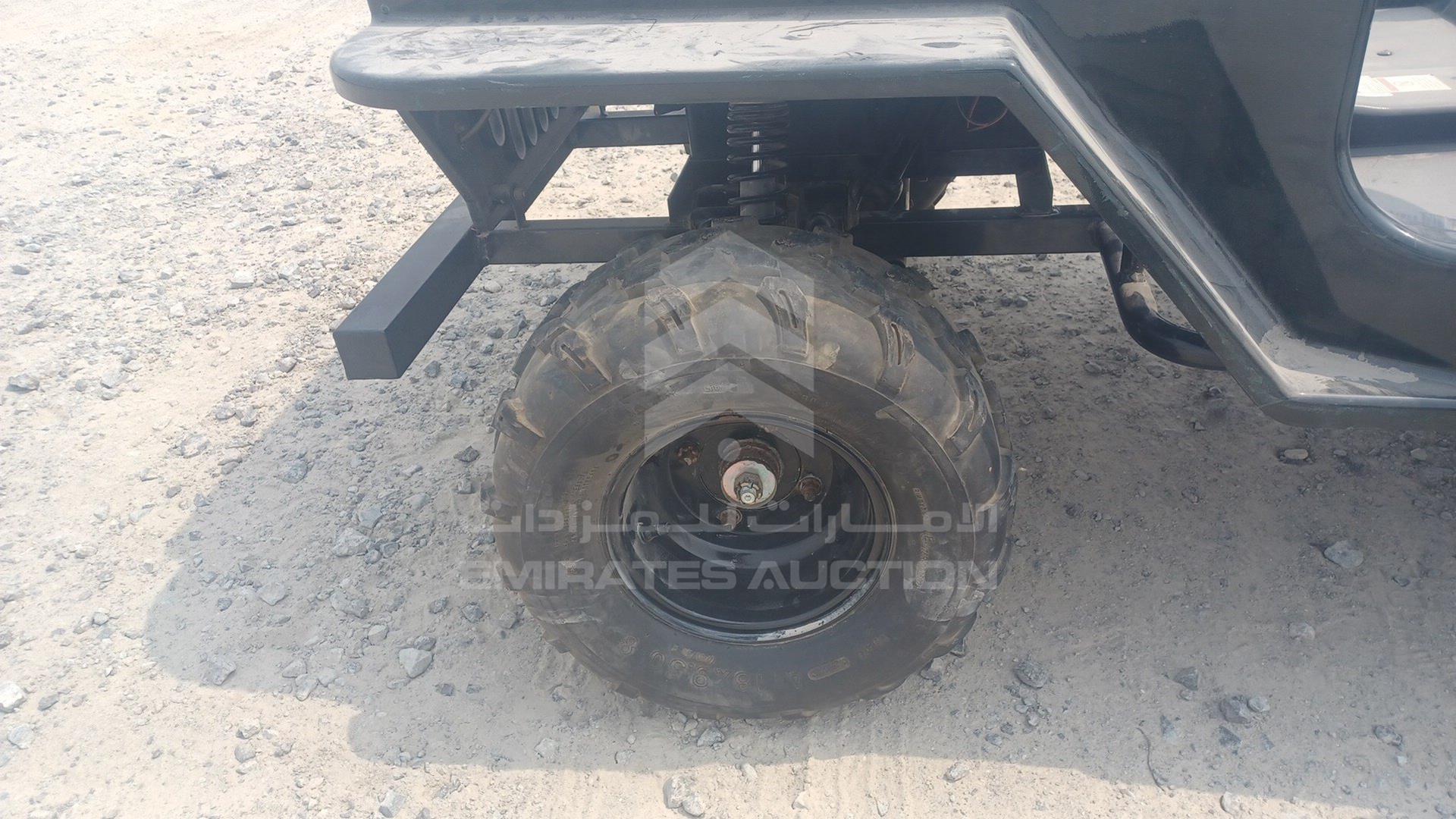 0 BUGGY --- VIN: LQBAJFGH6GI005305