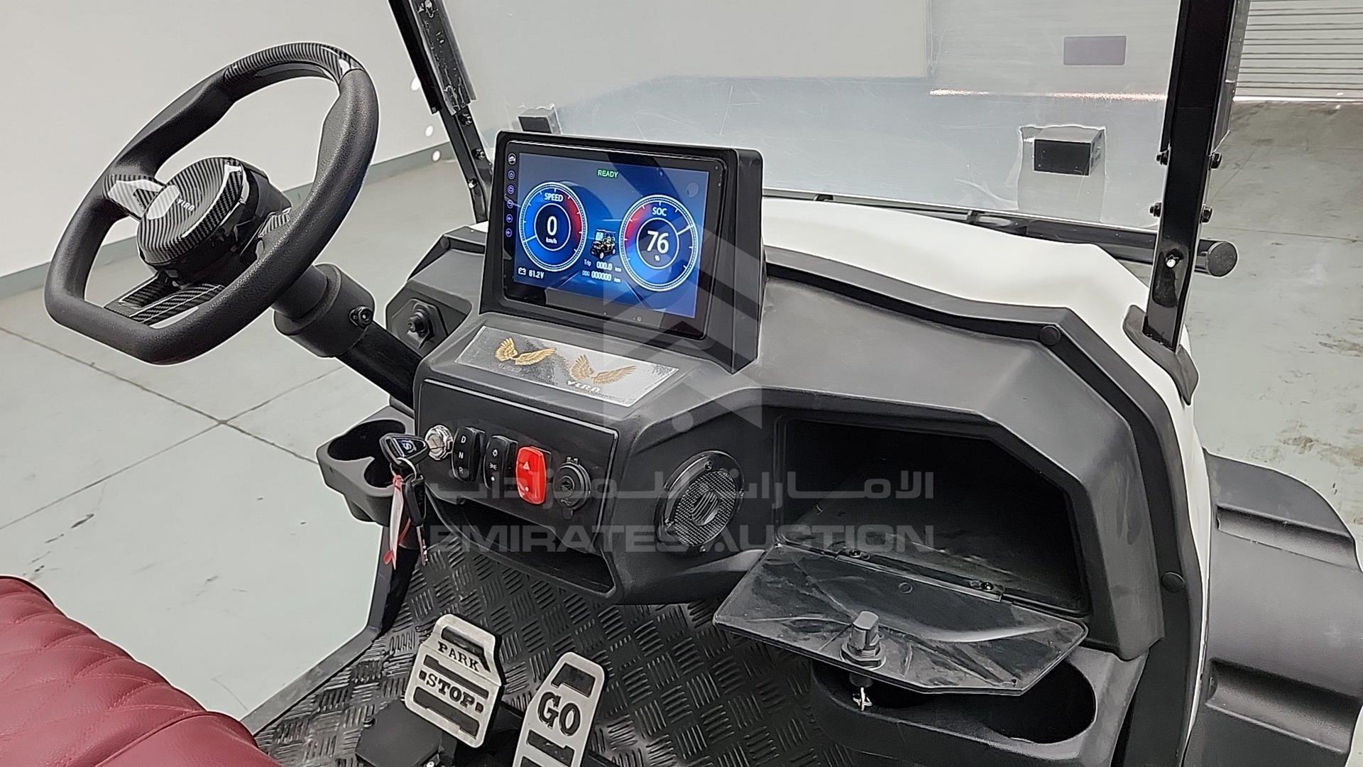 2025 GOLF CART ELECTRIC VIN: ZM24113