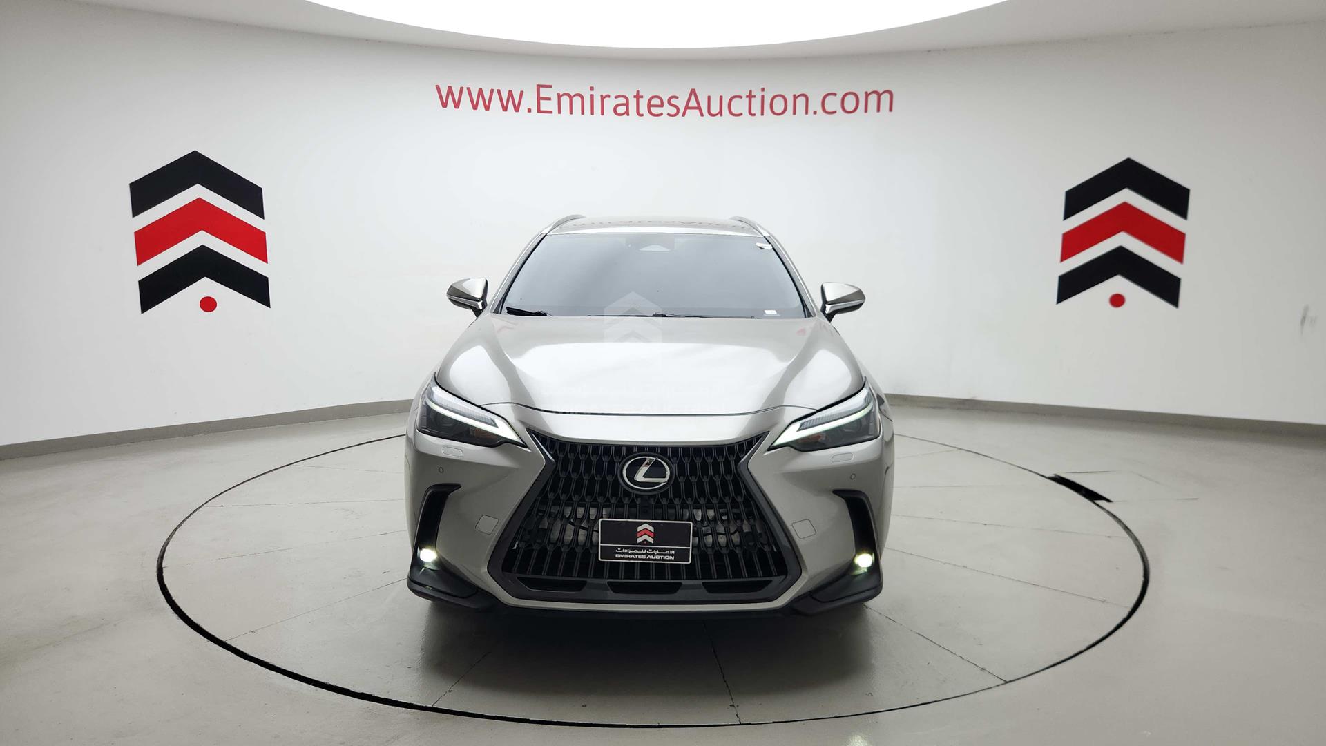 2023 LEXUS NX200T VIN: JTJCFBAZ602011042