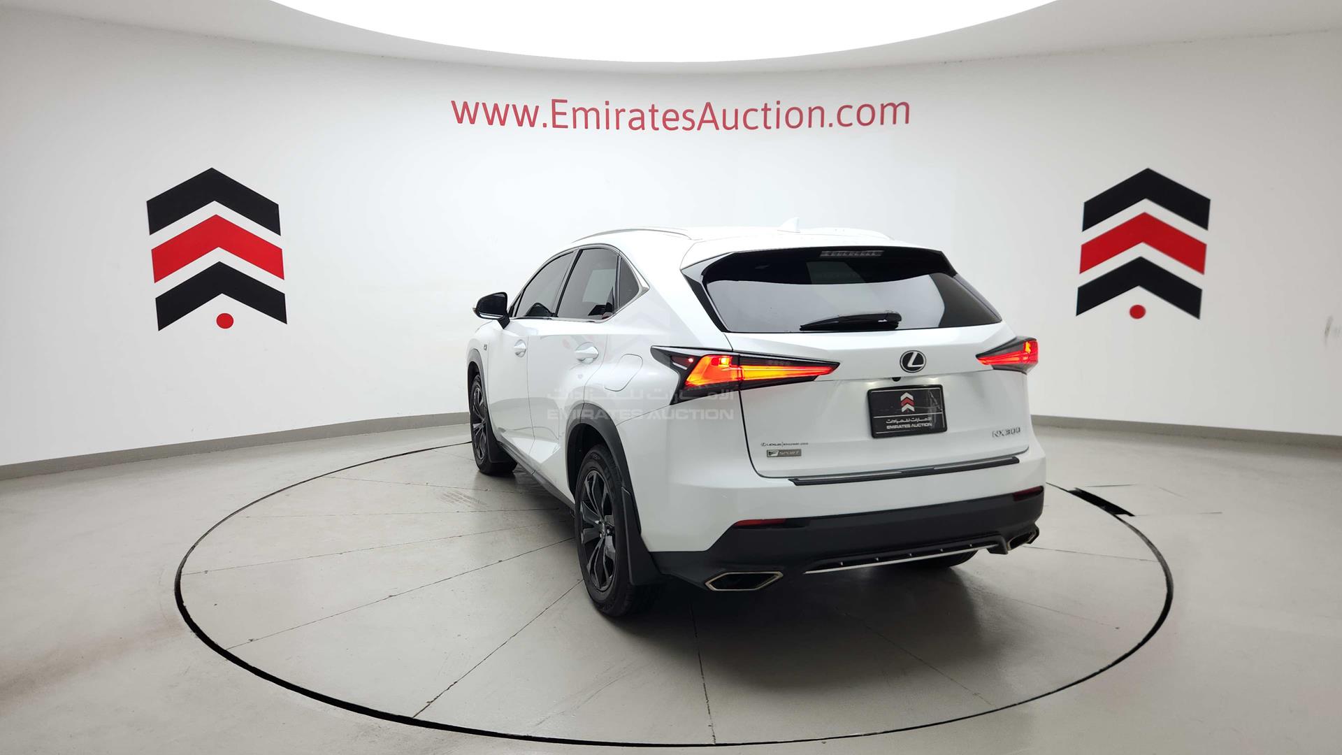 2020 LEXUS NX 300 VIN: JTJJARDZ1L5014914