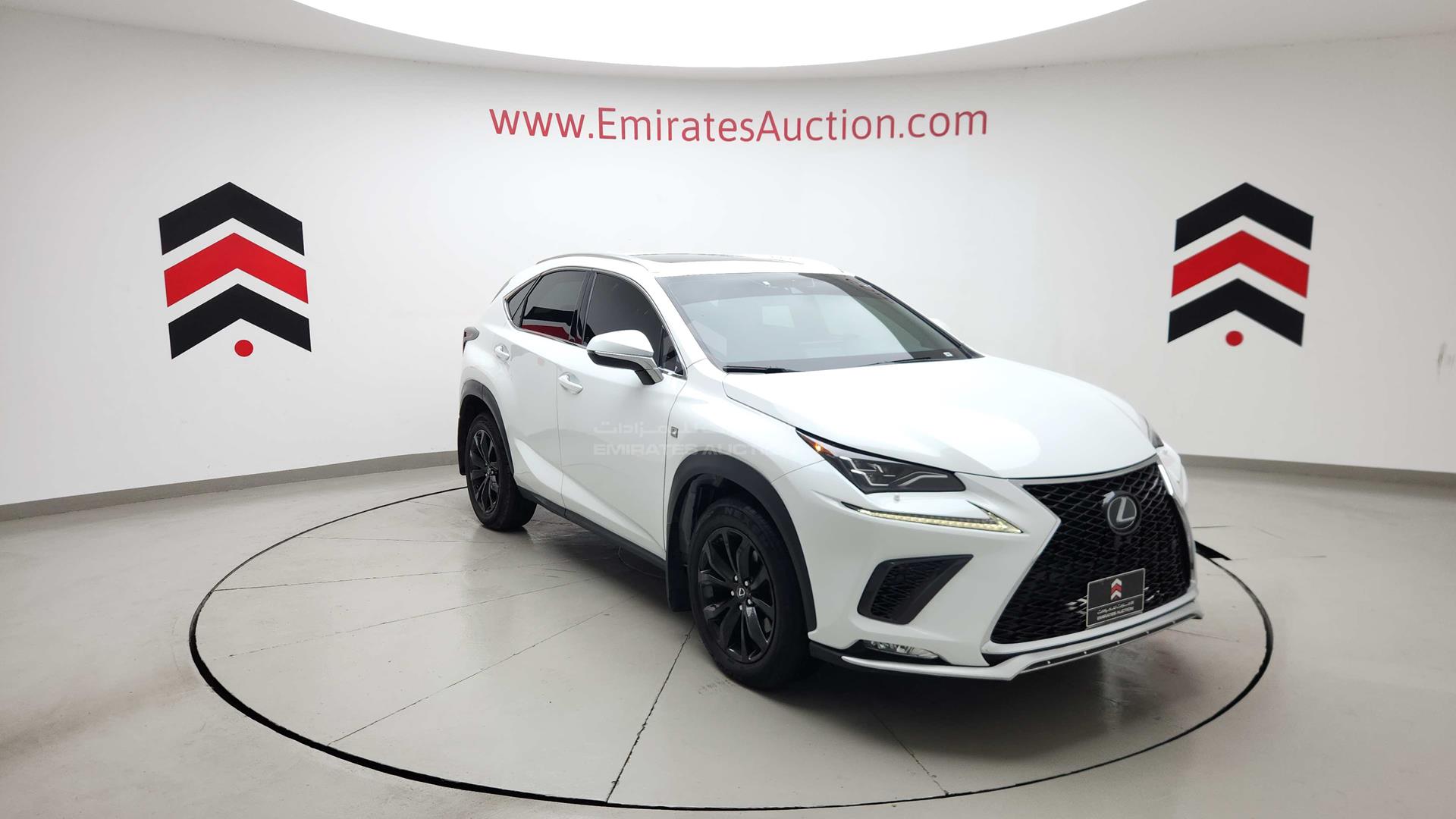 2020 LEXUS NX 300 VIN: JTJJARDZ1L5014914