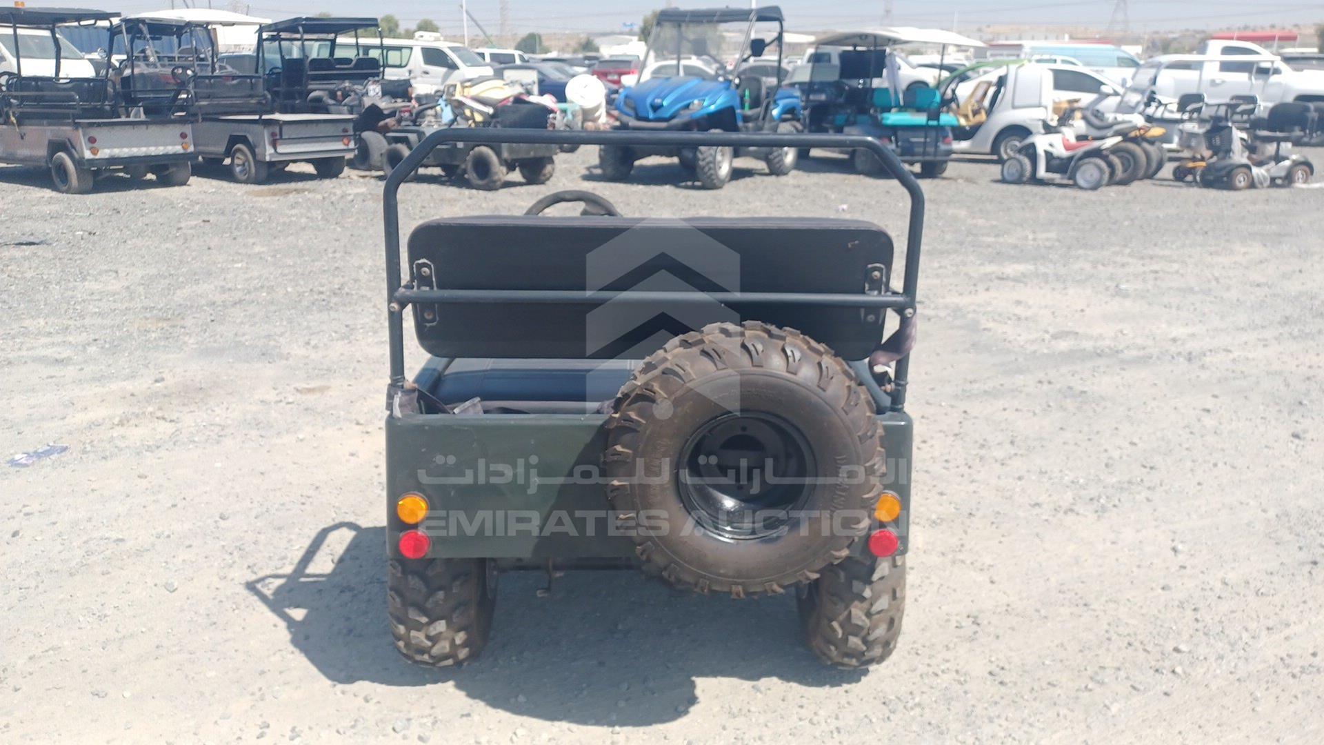 0 BUGGY --- VIN: LQBAJFGH3GT005309