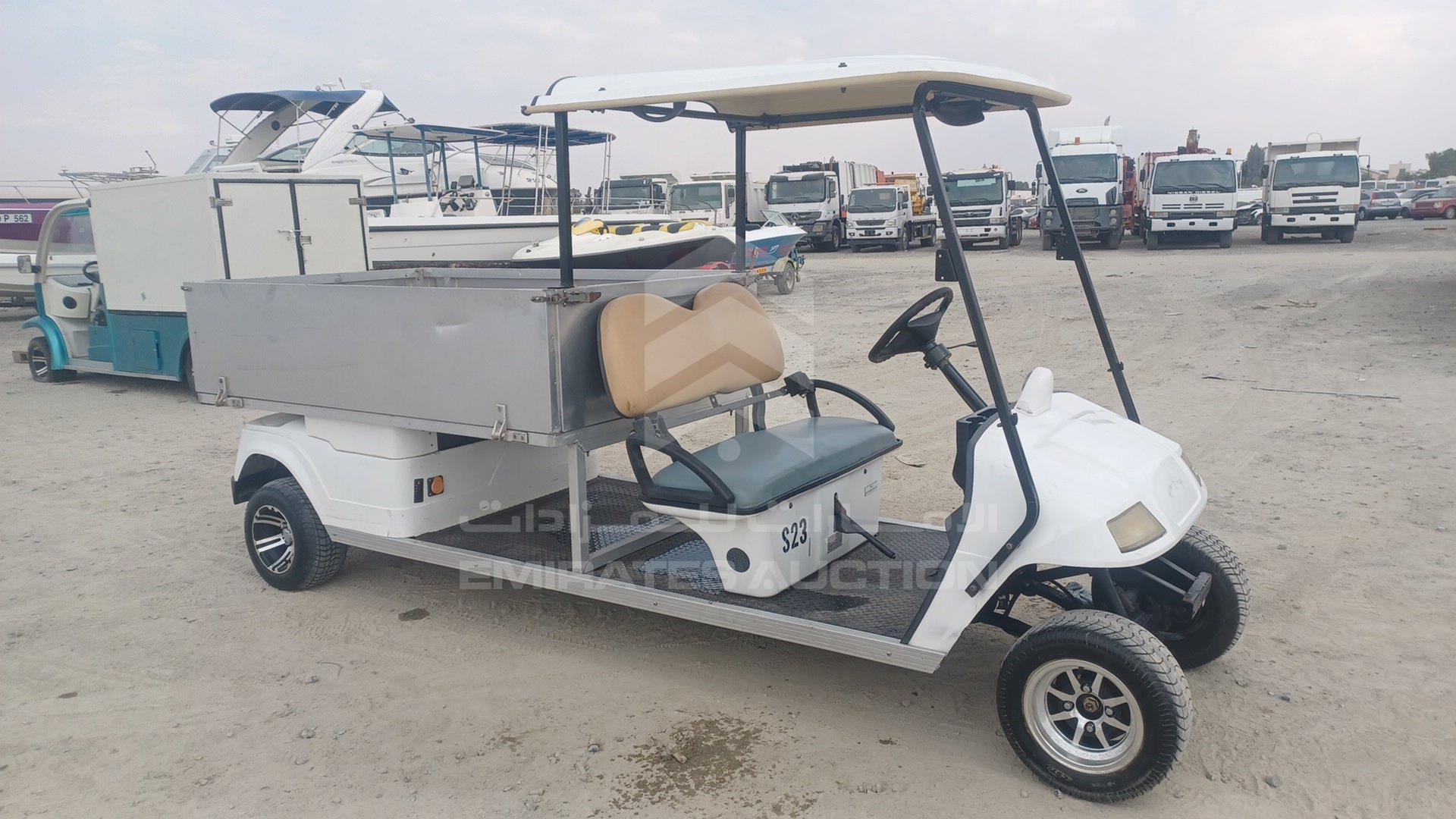 0 GOLF CART ELECTRIC VIN: P017C3802X501732
