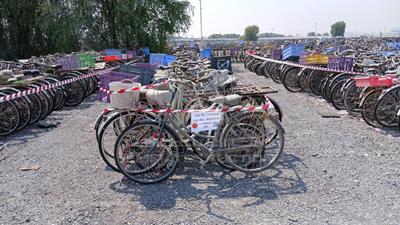  100 Bicycles