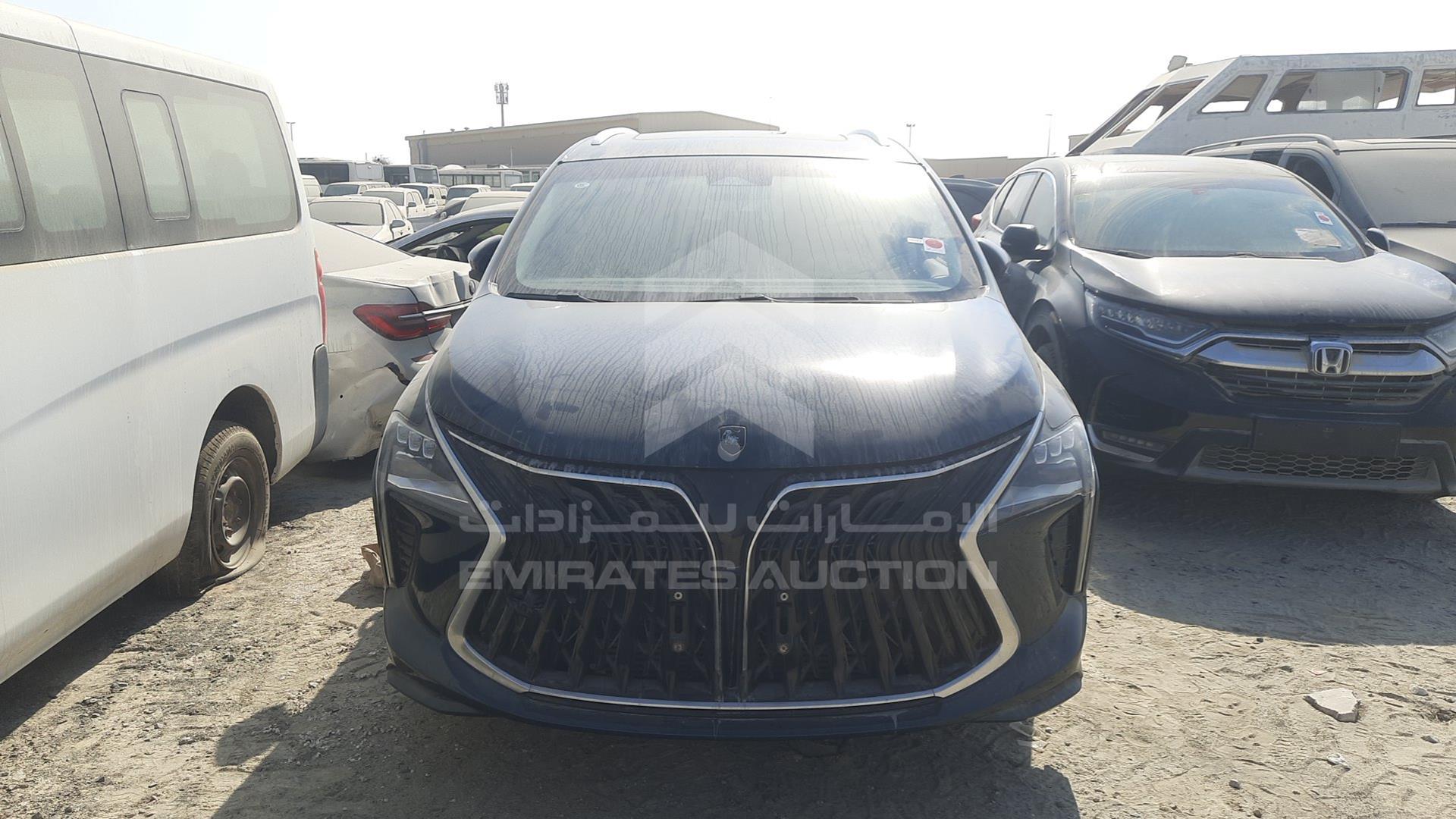 2024 DONG FENG FORTHING U VIN: LMXA14AF6RZ354457