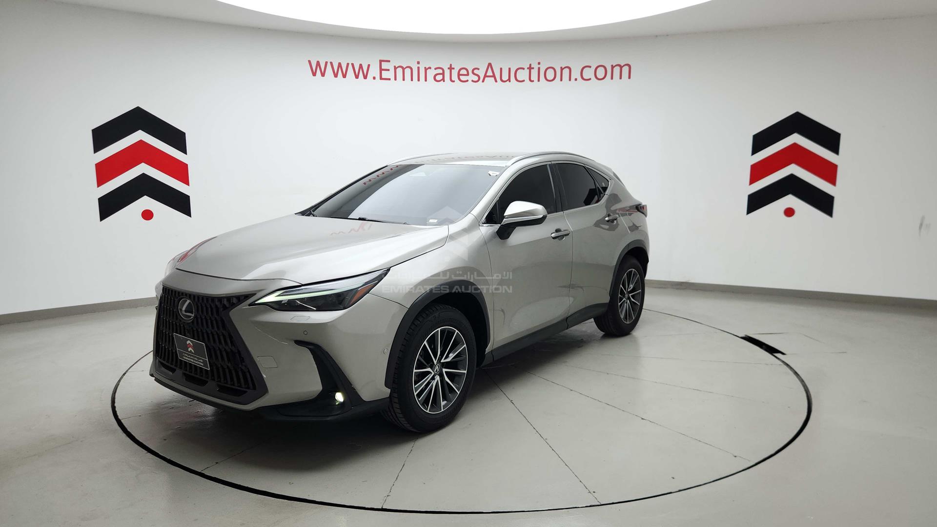 2023 LEXUS NX200T VIN: JTJCFBAZ602011042