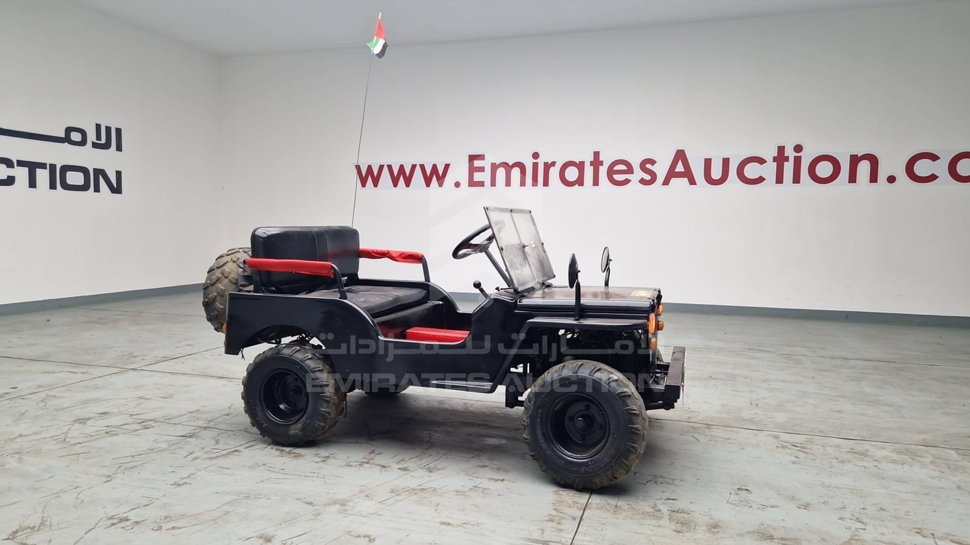 2018 BUGGY --- VIN: RZW9AZKU9N10