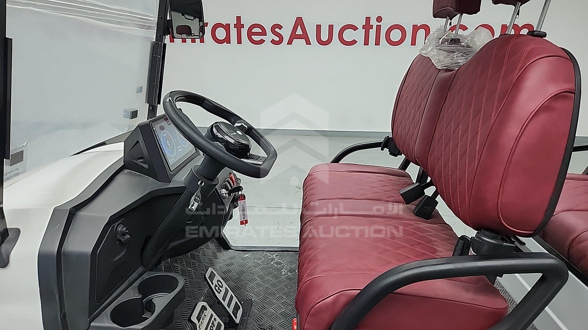 2025 GOLF CART ELECTRIC VIN: ZM24113