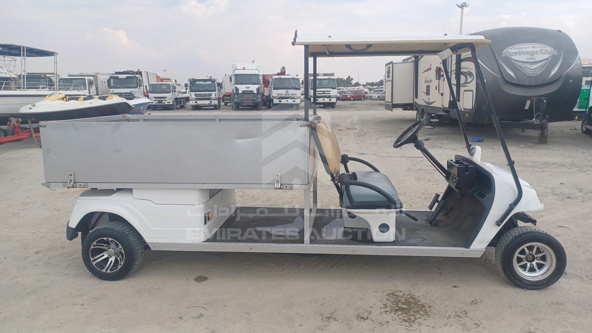 0 GOLF CART ELECTRIC VIN: P017C3802X501732