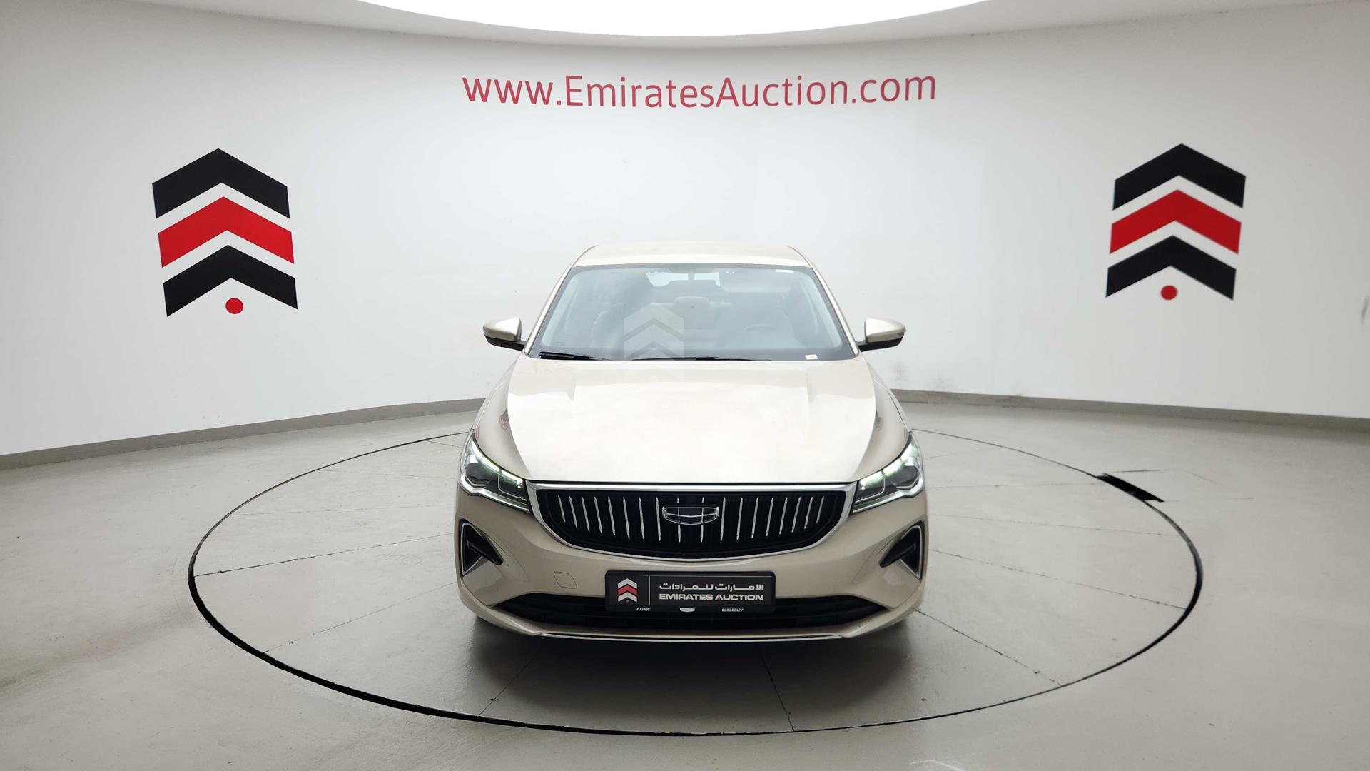 2024 GEELY EMGRAND VIN: LB3F31S25RG016064
