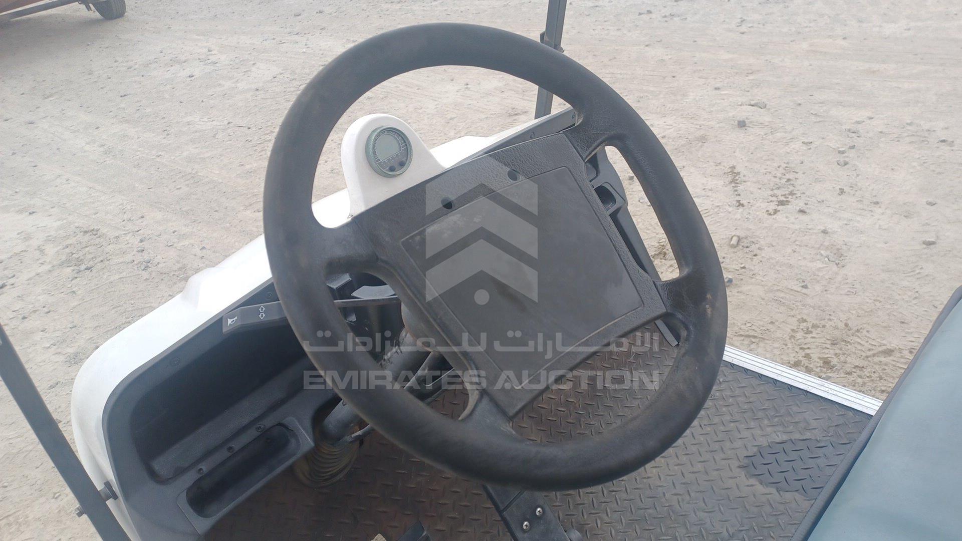 0 GOLF CART ELECTRIC VIN: P017C3802X501732