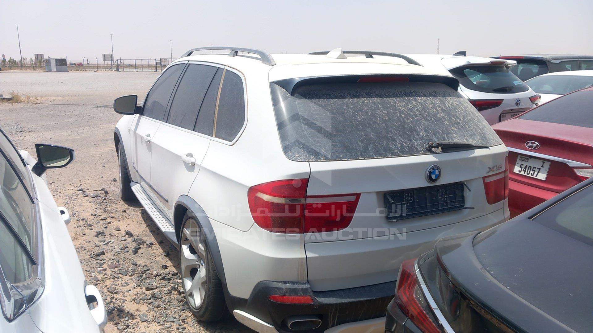 2009 BMW X5 VIN: WBAFE81019L096271