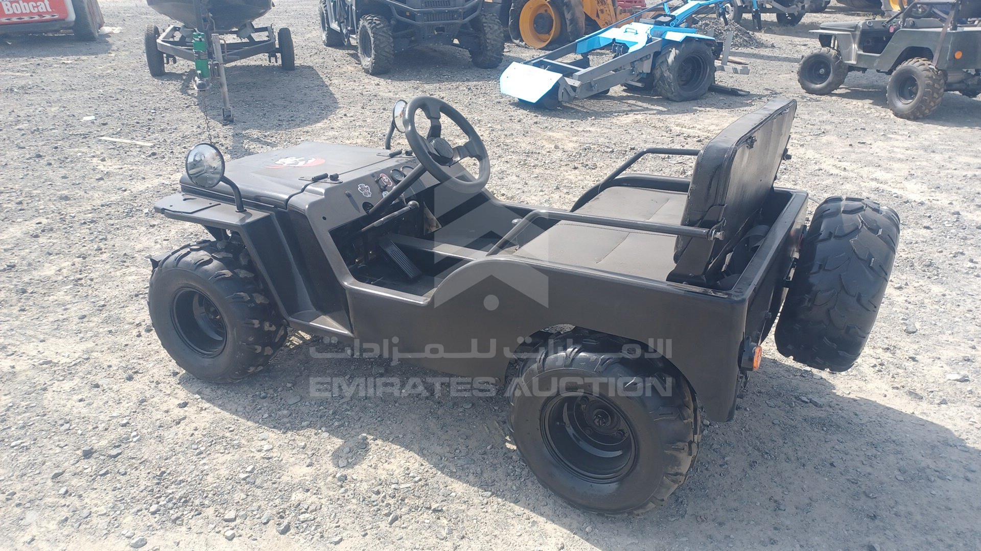 0 BUGGY --- VIN: ZB8304563CA251