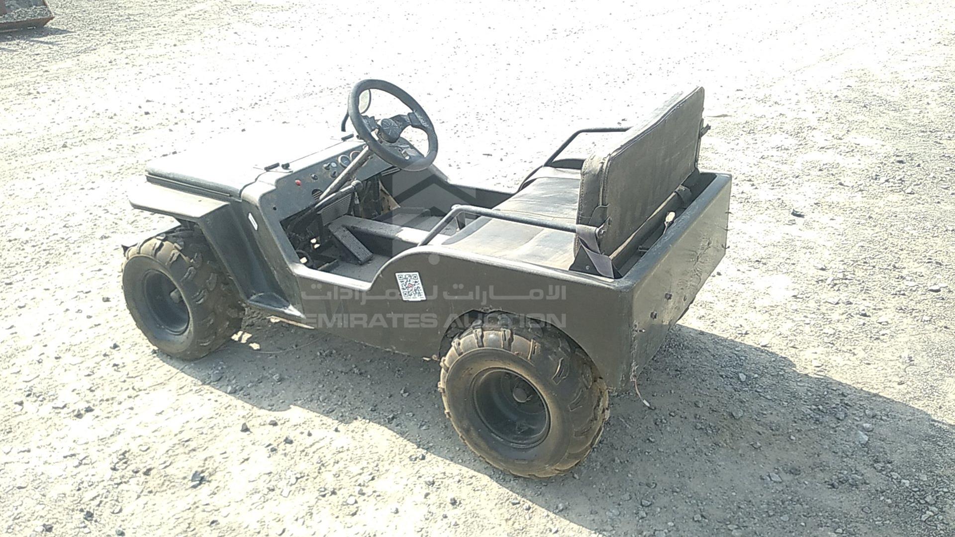 0 BUGGY --- VIN: Z42ABC63450631