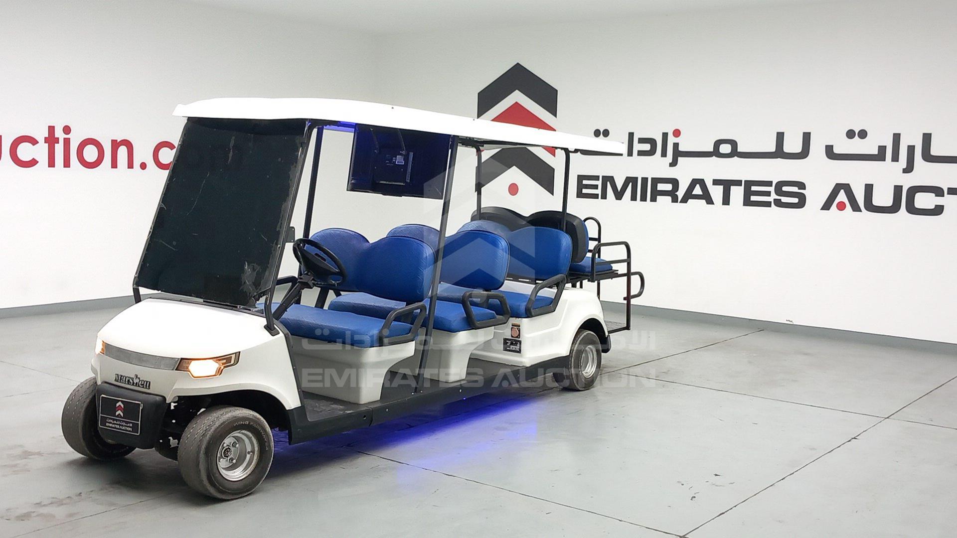 2021 GOLF CART ELECTRIC VIN: L4MCKDK47JA000207