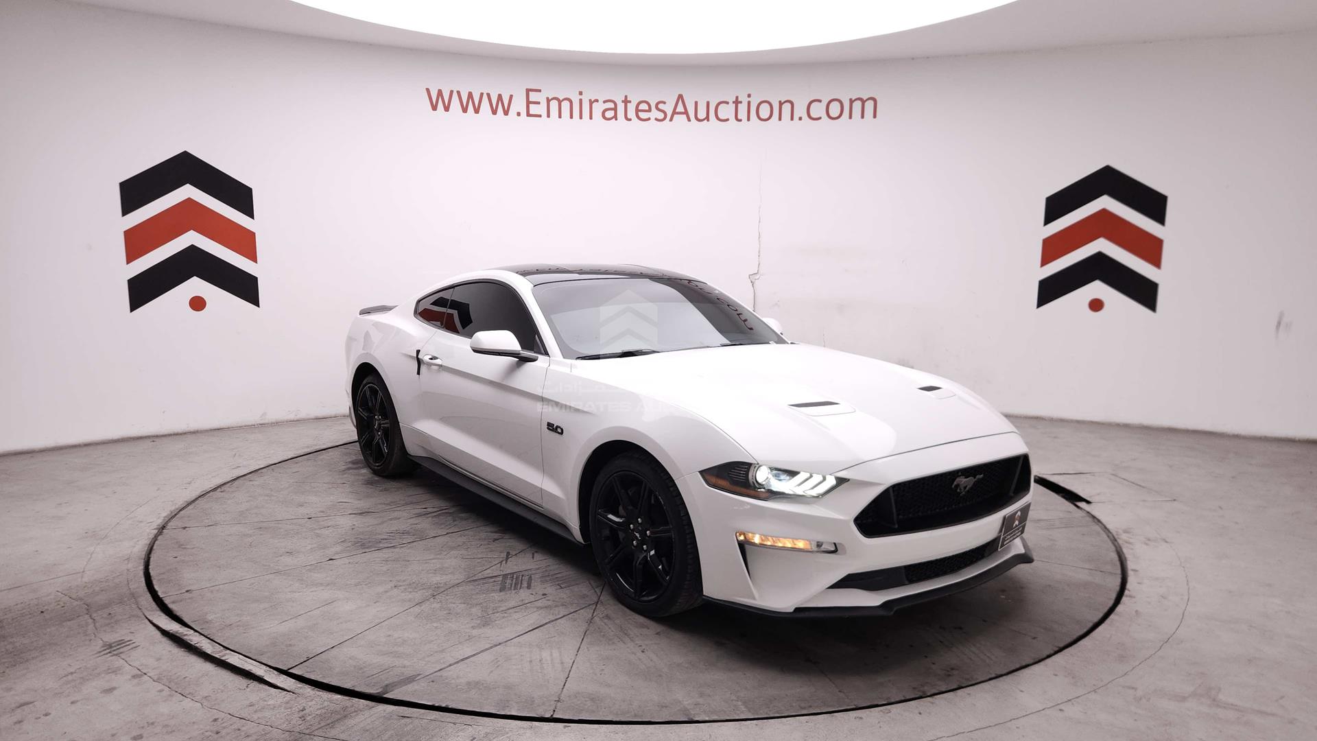 2019 FORD MUSTANG VIN: 1FA6P8CF6K5157614