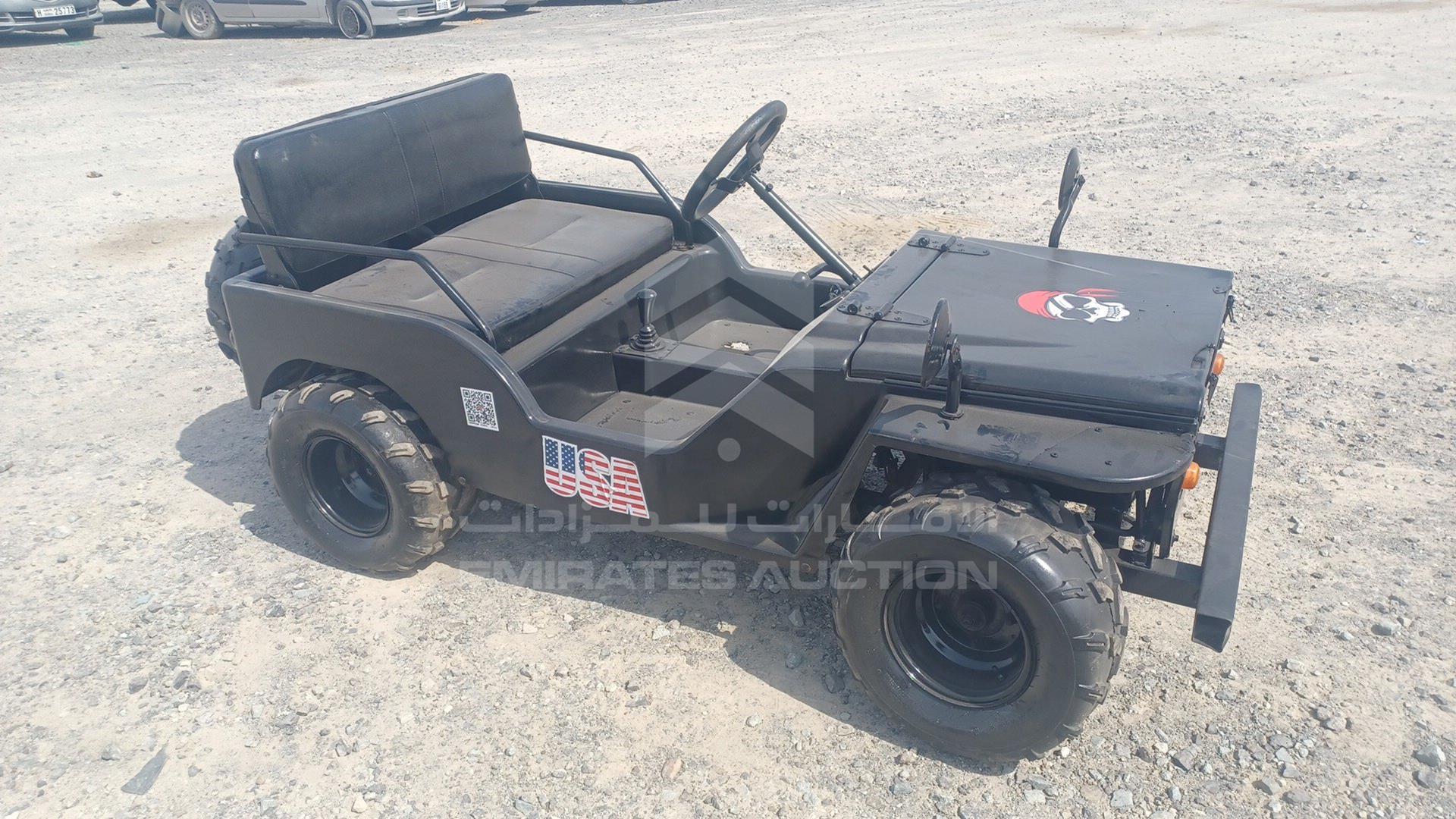 0 BUGGY --- VIN: ZB8304563CA251