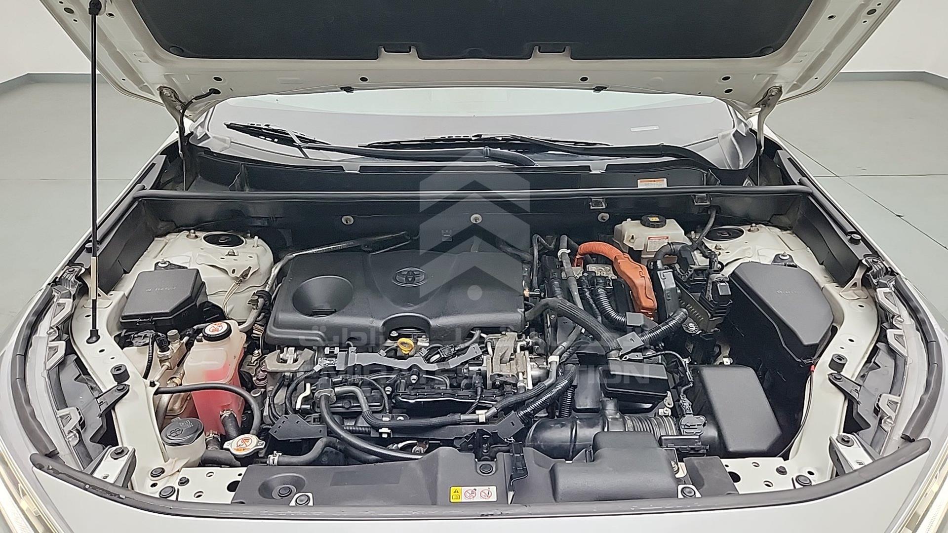 2019 TOYOTA RAV-4 VIN: JTMDW3FV6KD516671