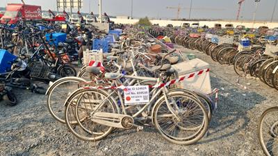  100 Bicycles