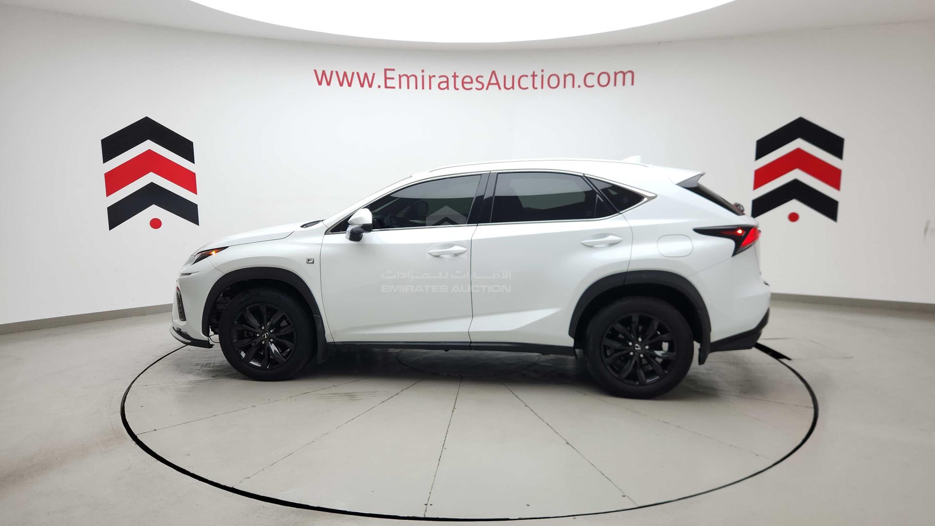 2020 LEXUS NX 300 VIN: JTJJARDZ1L5014914