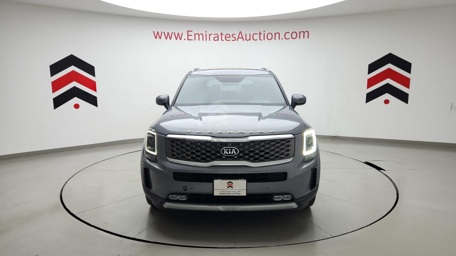 2020 KIA TELLURIDE VIN: 5XXP381C2LG047840