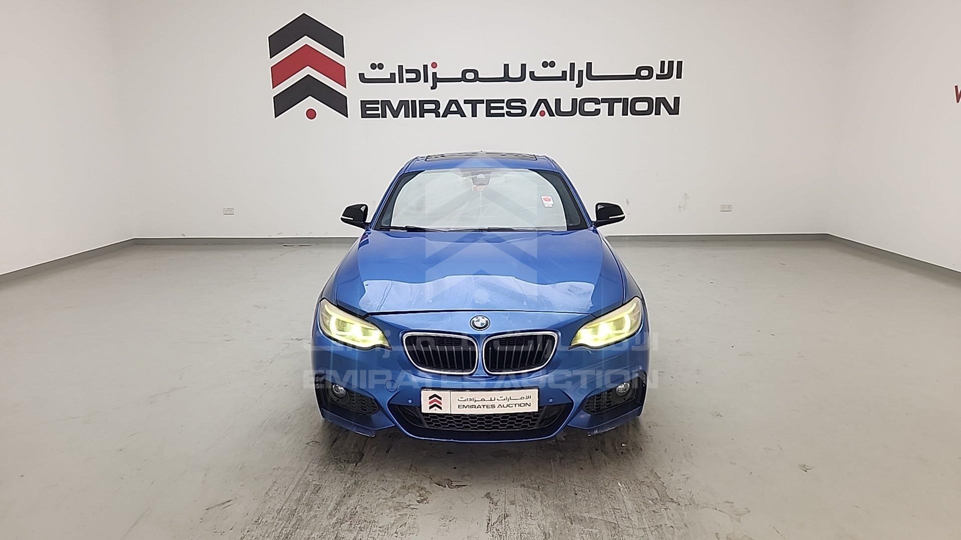 2014 BMW 220 VIN: WBA1J1104EVW83687