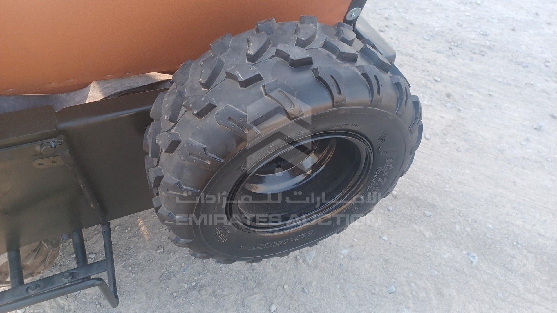 0 BUGGY --- VIN: L37AMKAC6GZ070015