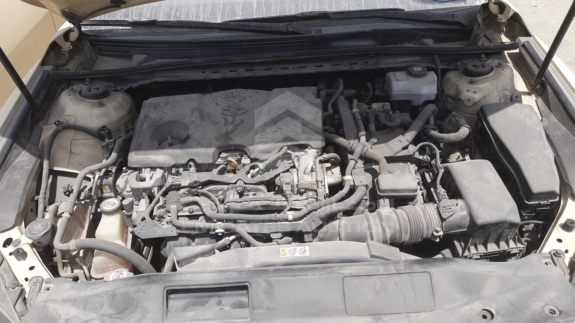 2019 TOYOTA CAMRY VIN: JTNB29HK5K3035546