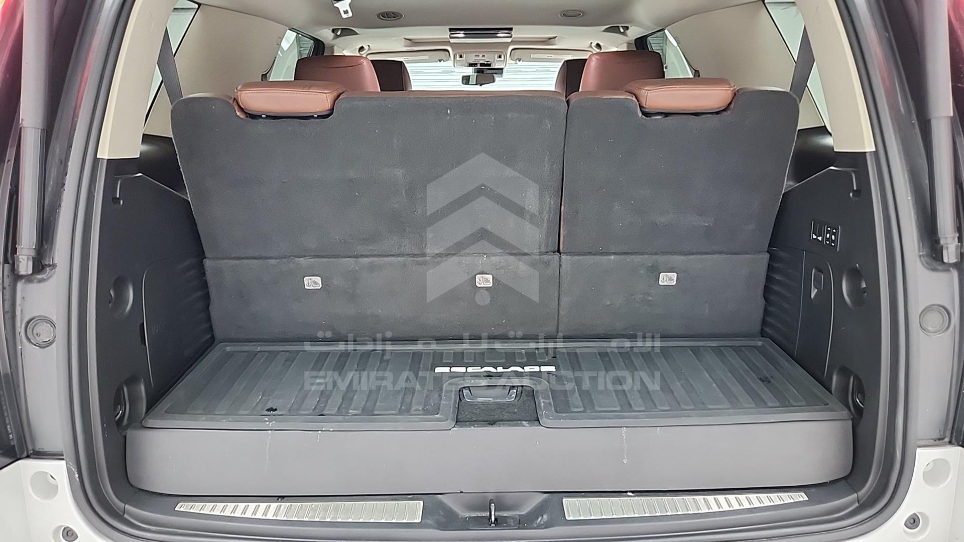 2020 CADILLAC ESCALADE VIN: 1GYS3BKJ7LR294489