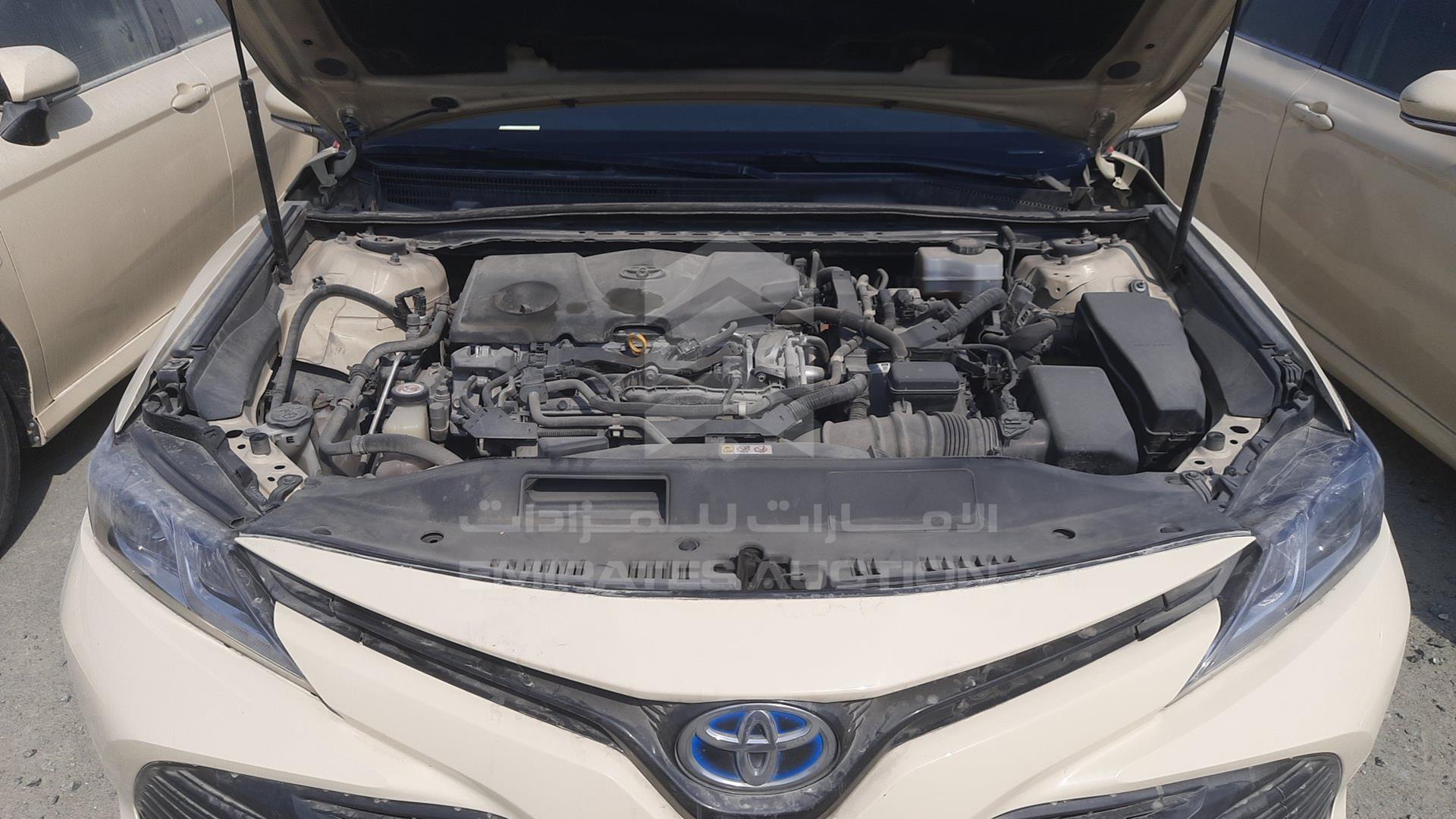 2019 TOYOTA CAMRY VIN: JTNB29HK8K3015209