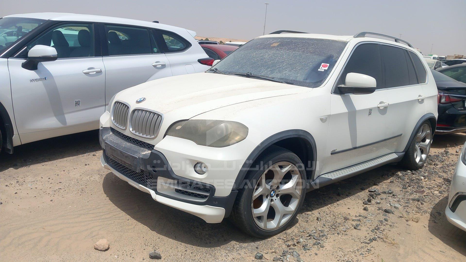 2009 BMW X5 VIN: WBAFE81019L096271